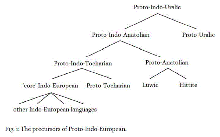 Этапы дивергенции праиндоуральского языка